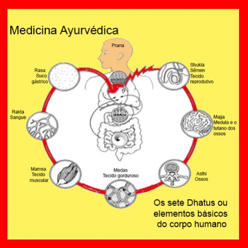 Estruturas semiológicas da Medicina Ayurvédica - IV