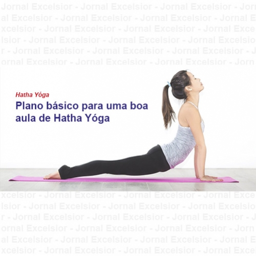 Plano básico para uma boa aula de Hatha Yóga