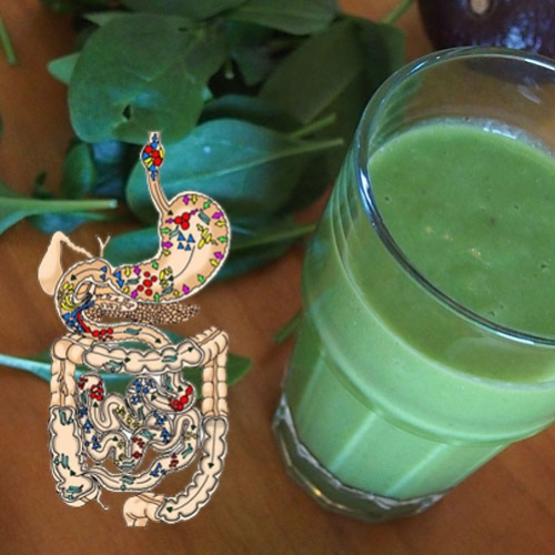 Suco detox e as funções dos intestinos delgado e grosso