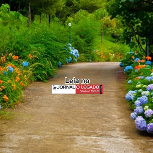 Descobrindo o caminho...