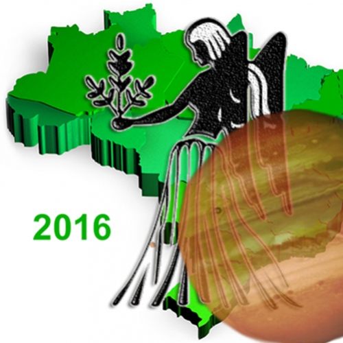 2016: Um ano para o Brasil crescer