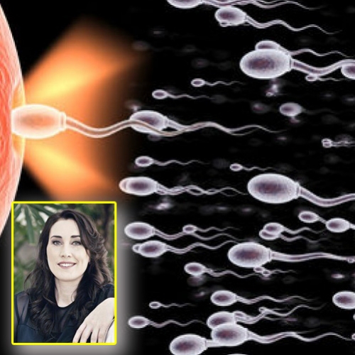 O que altera o sabor do esperma? Médica Sexóloga revela “segredo”