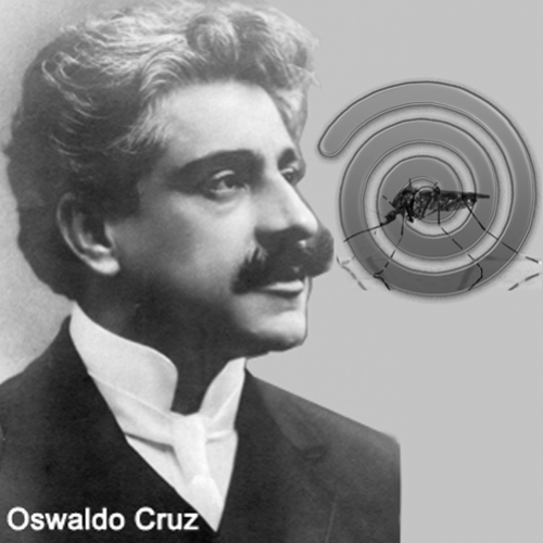 As lições da história no combate ao Aedes