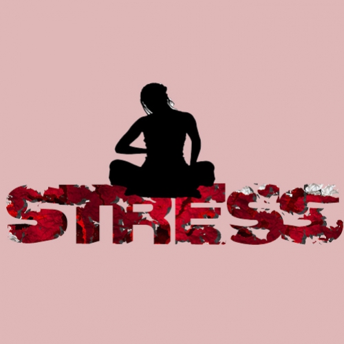 Hatha Yóga, uma arma poderosa contra a ansiedade e o stress