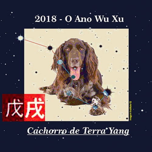 2018 – O Ano Wu Xu (Cachorro de Terra Yang)