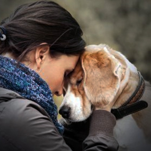 Os benefícios dos cães de apoio emocional
