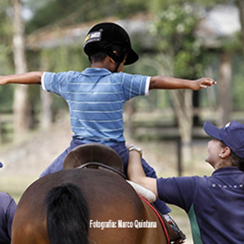 Terapia com cavalos para desenvolvimento de crianças com o TEA
