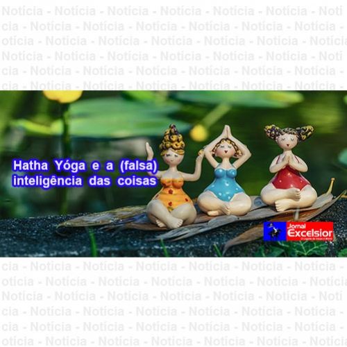 Hatha Yóga e a (falsa) inteligência das coisas
