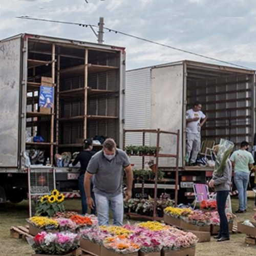 Feira Permanente de Flores e Plantas acontece todos os sábados em Atibaia