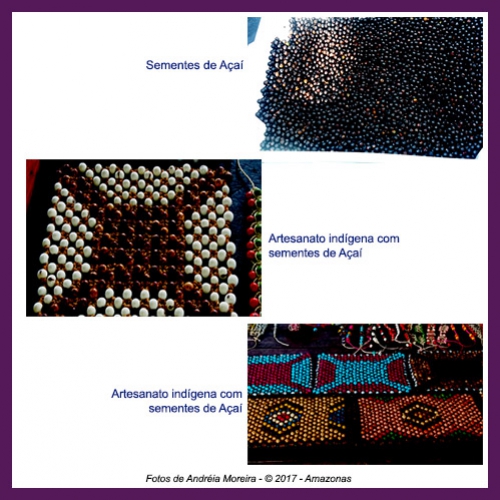 Açaí – uma das riquezas da Amazônia
