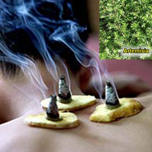 Moxabustão – A Arte do Fogo