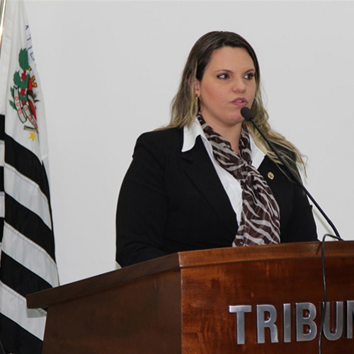 Em sessão, Roberta Barsotti aborda o trabalho desenvolvido na área da cultura em Atibaia