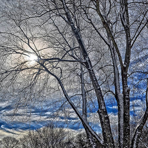 Outono... Inverno... E os recados da alma