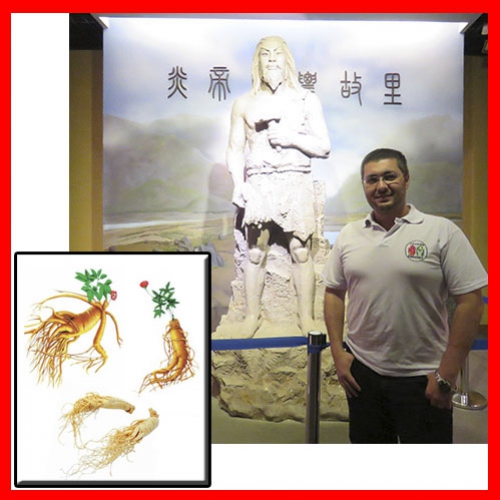 神农本草经 - shén nóng běn cǎo jīng
