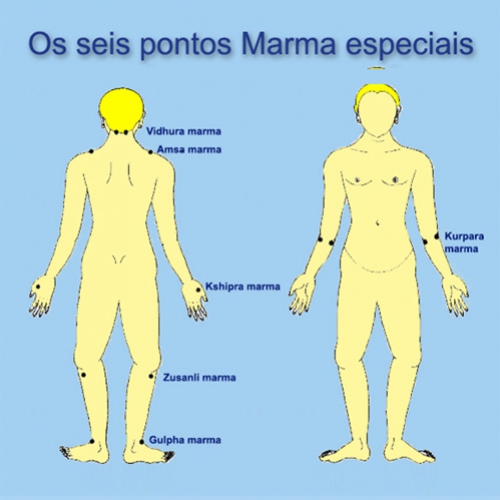 A Ciência Ayurvédica parte VI