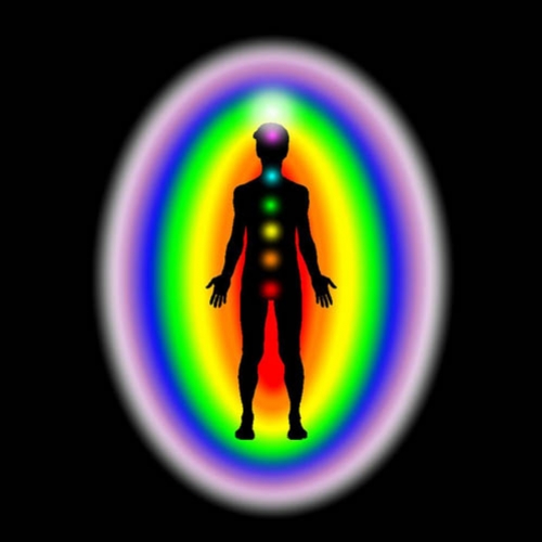 Chakras: Centros Energéticos de Poder